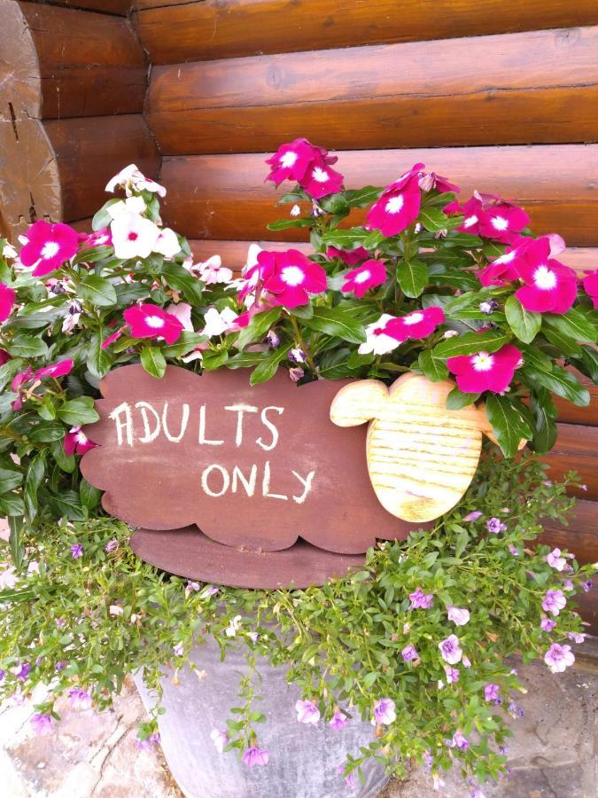 Au Paradou Du Bucheron Adults Only Lessive Zewnętrze zdjęcie